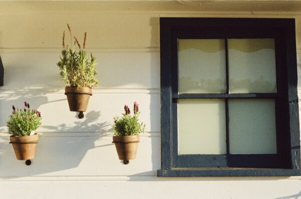 house-window-flowerpots-large